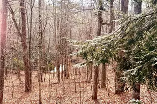 12 Yarrow Loop, Newland, NC 28657 - Photo 36