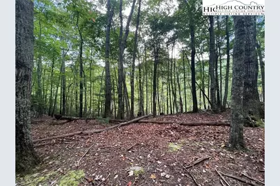 Lot 111 Laurel Circle West, Deep Gap, NC 28618 - Photo 2