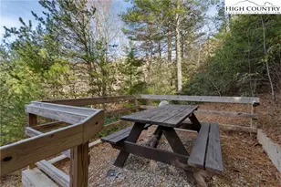 100 Bear Den Mountain View Dr, Spruce Pine, NC 28777 - Photo 22