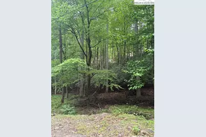 522 St Andrews Road, Beech Mountain, NC 28604 - Photo 4