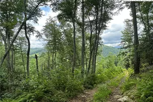 3606 Nc Hwy 194 S, Sugar Grove, NC 28679 - Photo 22