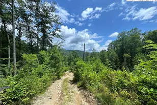 3606 Nc Hwy 194 S, Sugar Grove, NC 28679 - Photo 14