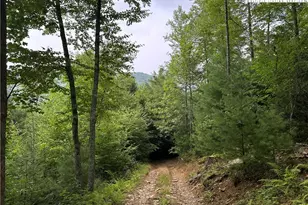 3606 Nc Hwy 194 S, Sugar Grove, NC 28679 - Photo 34