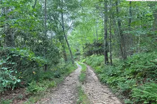 3606 Nc Hwy 194 S, Sugar Grove, NC 28679 - Photo 36