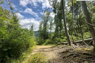 3606 Nc Hwy 194 S, Sugar Grove, NC 28679 - Photo 20