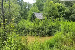 3606 Nc Hwy 194 S, Sugar Grove, NC 28679 - Photo 28