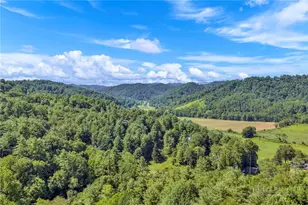 3606 Nc Hwy 194 S, Sugar Grove, NC 28679 - Photo 26