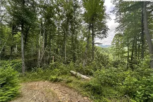 3606 Nc Hwy 194 S, Sugar Grove, NC 28679 - Photo 30