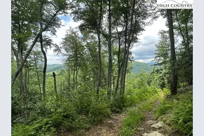 3606 Nc Highway 194 S, Sugar Grove, NC 28679 - Photo 22