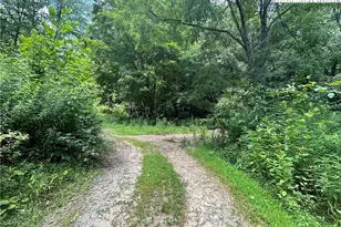 3606 Nc Hwy 194 S, Sugar Grove, NC 28679 - Photo 32
