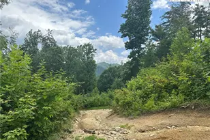 3606 Nc Hwy 194 S, Sugar Grove, NC 28679 - Photo 16