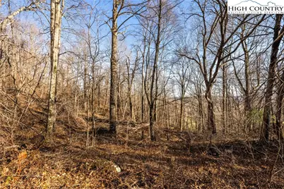 466 Dayspring Drive, Boone, NC 28607 - Photo 42