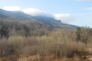 10545 Nc Hwy 105, Banner Elk, NC 28604 - Photo 6