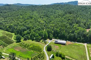 2967 & 2941 Roby Martin Rd, Lenoir, NC 28645 - Photo 20