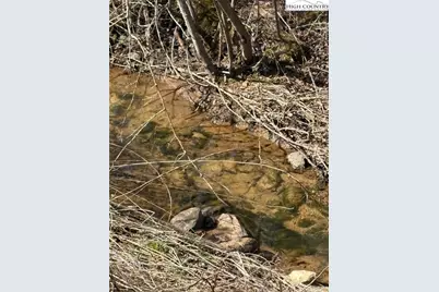 23 Millards Way, Sparta, NC 28675 - Photo 6