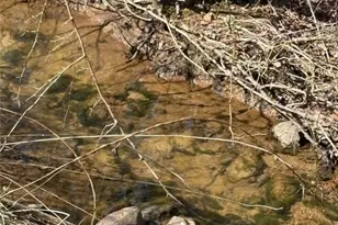 23 Millards Wy, Sparta, NC 28675 - Photo 6