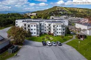 301 Pinnacle Inn Rd, Beech Mountain, NC 28604 - Photo 20