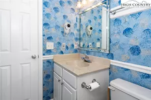 301 Pinnacle Inn Rd, Beech Mountain, NC 28604 - Photo 10