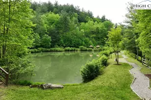 142 Fawn Ln, Purlear, NC 28665 - Photo 40