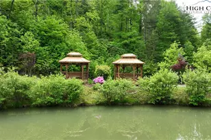 142 Fawn Ln, Purlear, NC 28665 - Photo 46