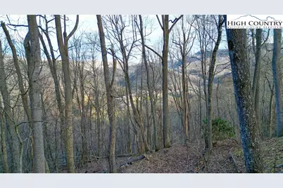 820 Willow Mountain Drive, Vilas, NC 28692 - Photo 36