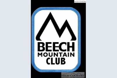 489 Saint Andrews Road, Beech Mountain, NC 28604 - Photo 30