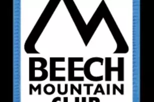 489 St Andrews Rd, Beech Mountain, NC 28604 - Photo 4