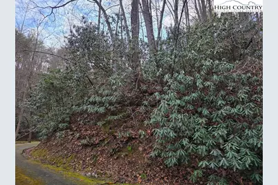 Lot 106 Holleridge Road, Ferguson, NC 28624 - Photo 10