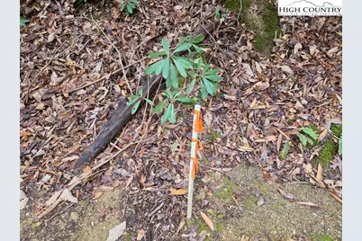 Lot 106 Holleridge Road, Ferguson, NC 28624 - Photo 4