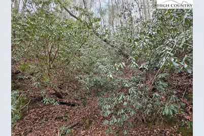 Lot 106 Holleridge Road, Ferguson, NC 28624 - Photo 2