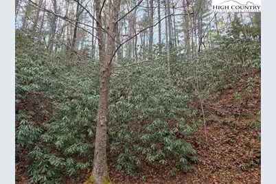 Lot 106 Holleridge Road, Ferguson, NC 28624 - Photo 12