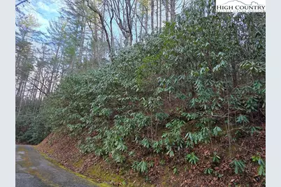Lot 105 Holleridge Road, Ferguson, NC 28624 - Photo 20
