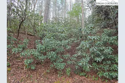 Lot 105 Holleridge Road, Ferguson, NC 28624 - Photo 16