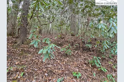 Lot 105 Holleridge Road, Ferguson, NC 28624 - Photo 14