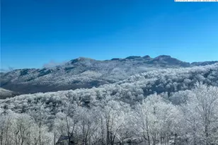 120 Pleasant View Blvd, Sugar Mountain, NC 28604 - Photo 4