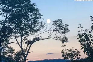 120 Pleasant View Blvd, Sugar Mountain, NC 28604 - Photo 40