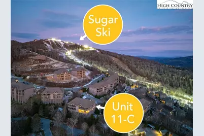 120 Pleasant View Boulevard #11C, Sugar Mountain, NC 28604 - Photo 2
