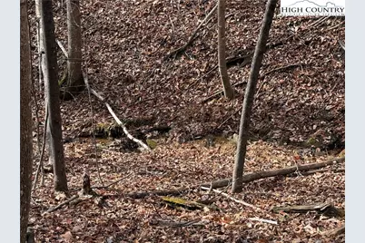 Lot 21 Buck Mountain Road, Purlear, NC 28665 - Photo 6