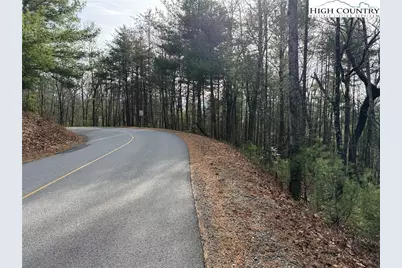 Lot 21 Buck Mountain Road, Purlear, NC 28665 - Photo 18