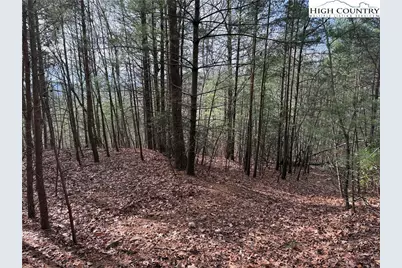 Lot 21 Buck Mountain Road, Purlear, NC 28665 - Photo 16