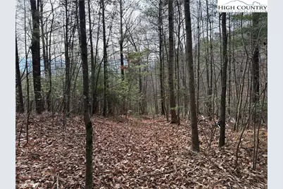 Lot 21 Buck Mountain Road, Purlear, NC 28665 - Photo 10