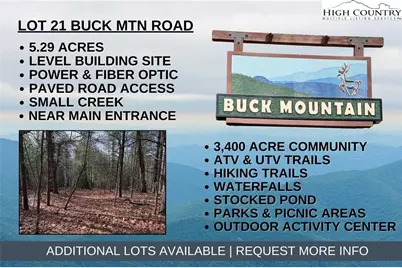 Lot 21 Buck Mountain Road, Purlear, NC 28665 - Photo 1
