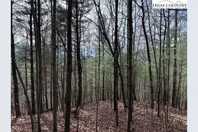 Lot 21 Buck Mountain Road, Purlear, NC 28665 - Photo 8
