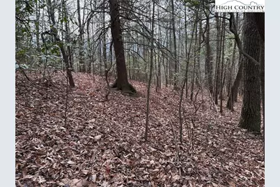 Lot 21 Buck Mountain Road, Purlear, NC 28665 - Photo 12