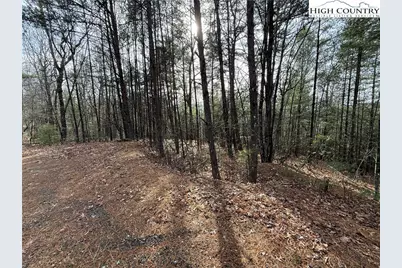Lot 21 Buck Mountain Road, Purlear, NC 28665 - Photo 4