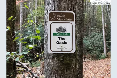 Lot 21 Buck Mountain Road, Purlear, NC 28665 - Photo 30