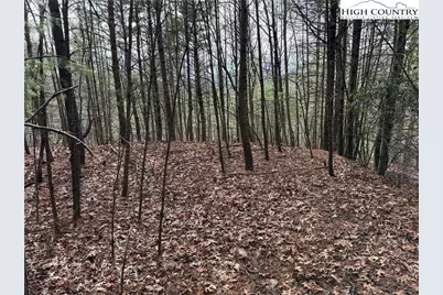 Lot 21 Buck Mountain Road, Purlear, NC 28665 - Photo 14