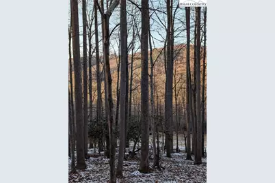 Tbd Bledsoe Creek Road, Sparta, NC 28675 - Photo 16