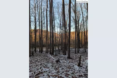 Tbd Bledsoe Creek Road, Sparta, NC 28675 - Photo 18