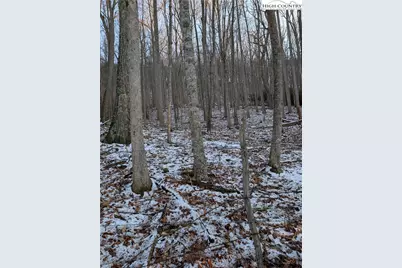 Tbd Bledsoe Creek Road, Sparta, NC 28675 - Photo 12